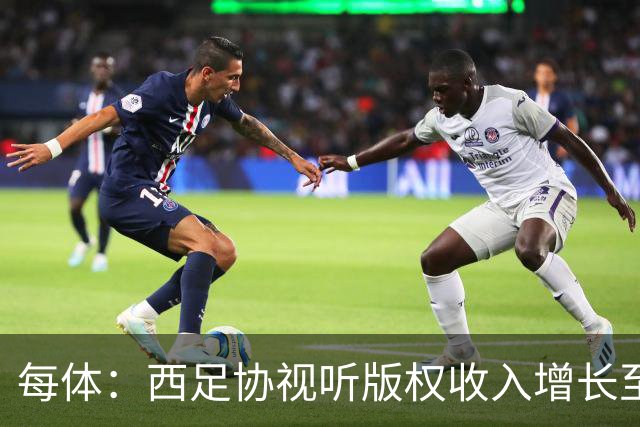 每体：西足协视听版权收入增长至1.173亿欧元 赞助也达8070万欧元