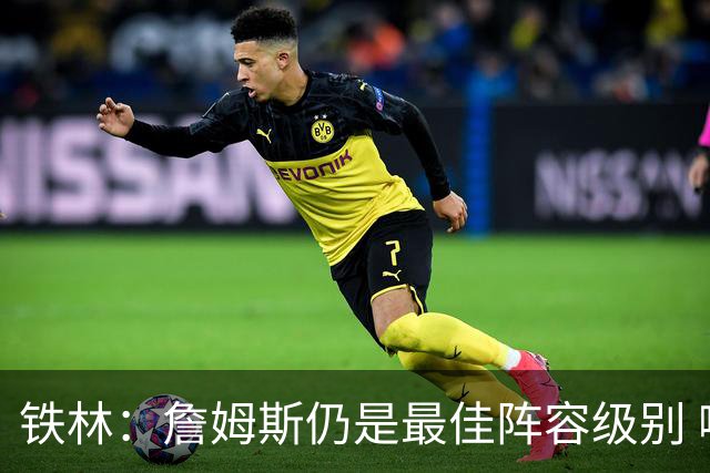 铁林：詹姆斯仍是最佳阵容级别 哪怕降薪也会拿至少三四千万