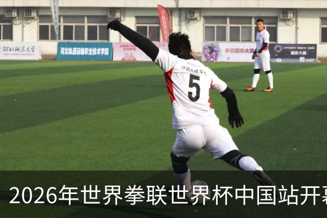 2026年世界拳联世界杯中国站开幕 赛事首次落户中国